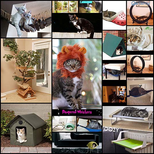 15-Gift-Ideas-For-Cats