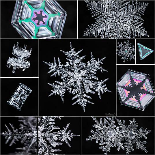 Photographer-Spent-2,500-Hours-Capturing-Stunning-Photos-of-Complex-Snowflakes---My-Modern-Met