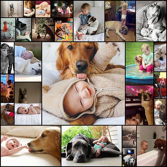 Dogs-and-Babies-(27-pics)