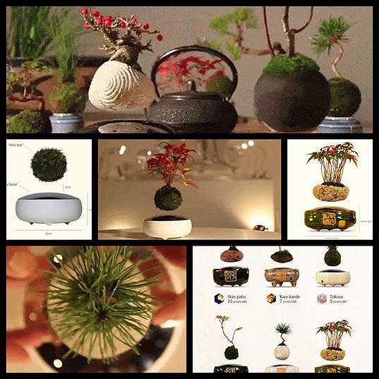 The-Magnetic-Air-Bonsai-Creates-Surreal-Levitating-Plants--Spoon-&-Tamago