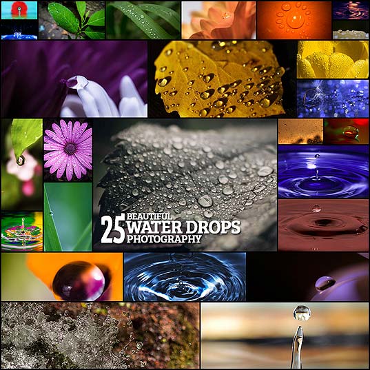 Beautiful-Water-Drops-Photography---25-Fresh-Examples--Photography--Design-Blog