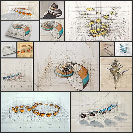Coloring-Book-Celebrates-Mathematical-Beauty-of-Nature-with-Hand-Drawn-Golden-Ratio-Illustrations---My-Modern-Met