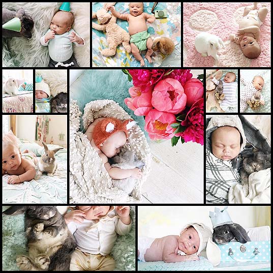 Mom-Shares-the-Adorable-Bond-Between-Her-Baby-Boy-and-His-Fluffy-Bunnies---My-Modern-Met