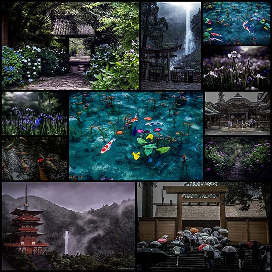 11-I-Photographed-Japan-During-The-Rainy-Season-And-Some-Pics-Look-Like-Paintings--Bored-Panda
