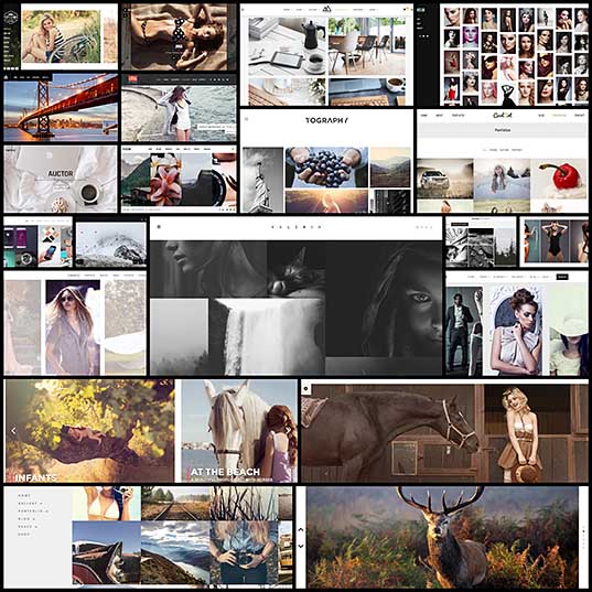 21-premium-photography-templates-for-your-wordpress-website-creativeoverflow1