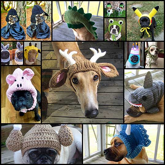 latest-dog-fashion-trend-crocheted-hats