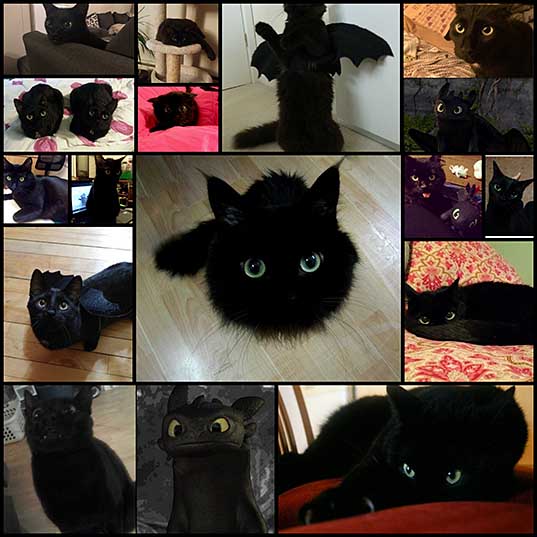 15黒猫 - 双子の竜Bezzubik_1