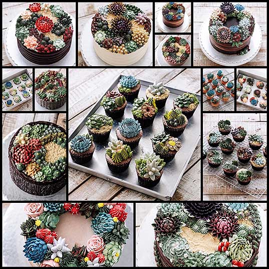 Want to Have a Bite of Succulent Plant Seriously, They are Delicious! – Design Swan