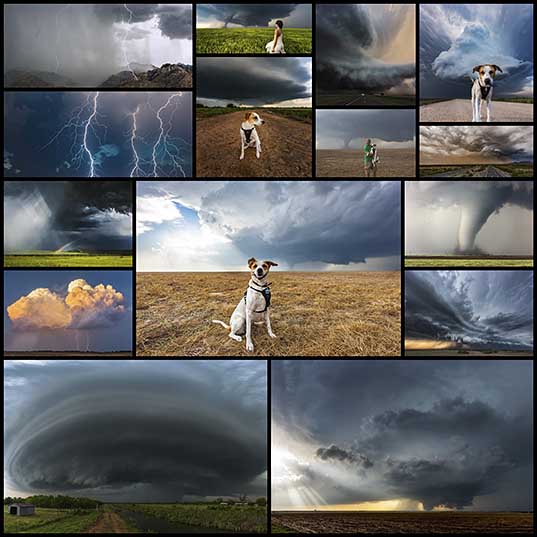 Storm Chaser Captures Severe Weather With His Trusty Rescue Dog