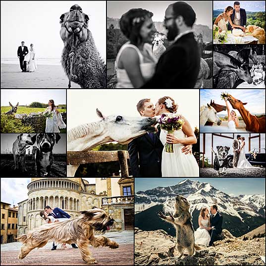 12 свадебных фотографий, которые испортила какая-то скотина • НОВОСТИ В ФОТОГРАФИЯХ1