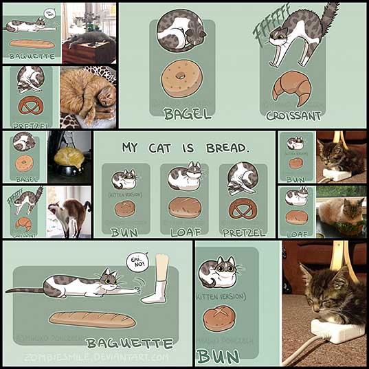 Artist Proves Cats Are More Bread Than You’d Think Bored Panda