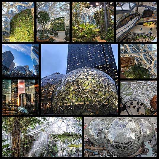 Dome Greenhouse Spheres Bring Green Space to Amazon Headquarters