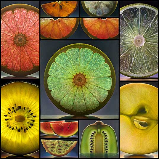 11 Luminous Portraits of Sliced Fruit Glow Like Stained Glass Windows Colossal