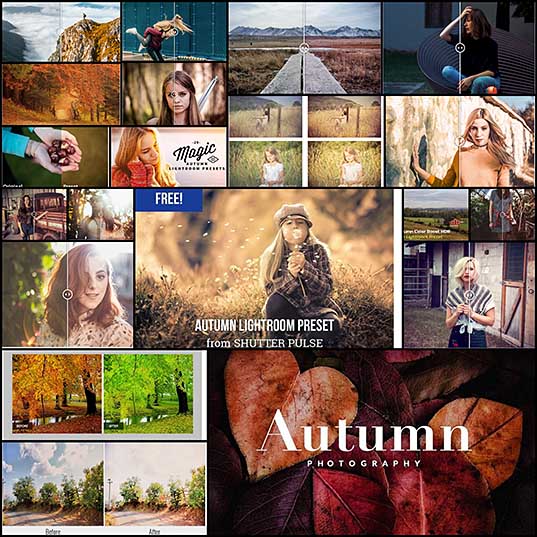 20 Free Adobe Lightroom Autumn Presets for Photographers