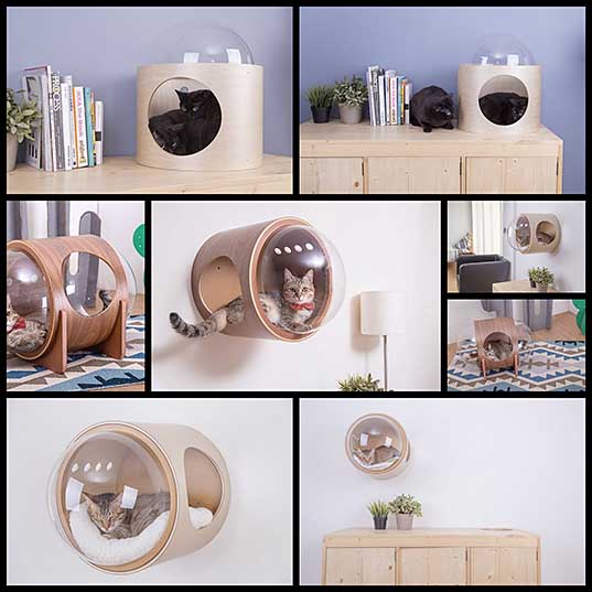 Spaceship Cat Bed Collection Turns Sleep Cats Into Space Explorers