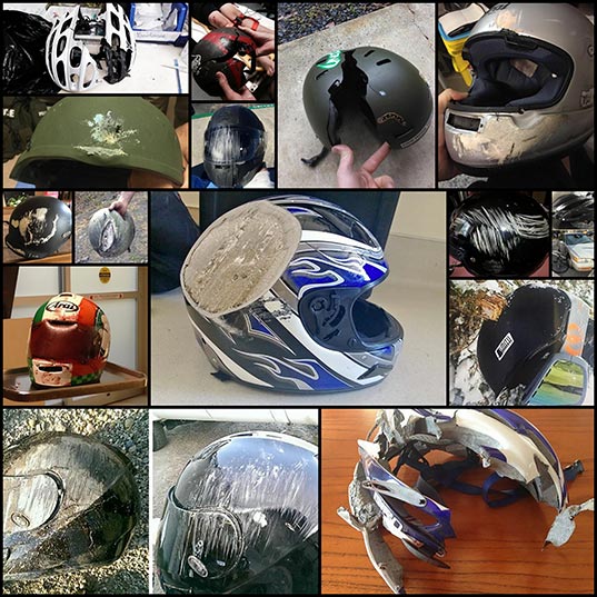 ヘルメットの重要性が分かる写真 16枚 いぬらぼ