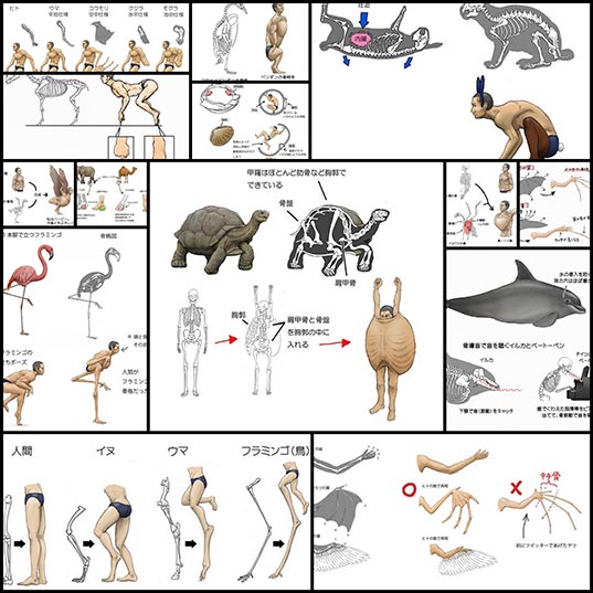 動物の骨格を人間の骨格でそのまま表現しちゃった川崎悟司氏のイラストアート 14枚 いぬらぼ