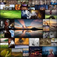 National-Geographic45