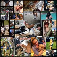 why_dogs_are_the_greatest_friend_a_man_21_pics