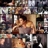 six-packs-nine-lives28