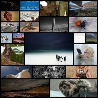 Wildlifephotographer22