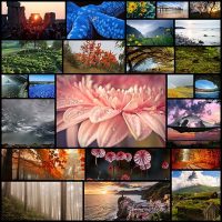 beautiful-examples-of-nature-photography24