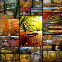 stunning_photos_of_different_places_in_autumn_29_pics