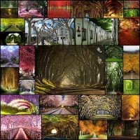 amazing-flower-tree-tunnel30