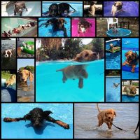 but-actually-what-is-this-stuff20