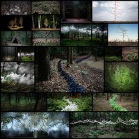 surreal-forest-photograhy-ellie-davies22
