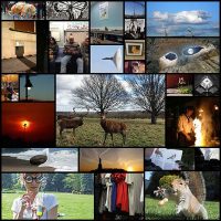 perfectly-timed-photos26