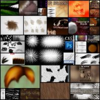 free-fur-photoshop-brushes30