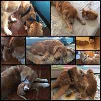 what-its-like-to-grow-up-with-your-best-friend8