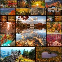 Красоты-золотой-осени-с-разных-уголков-земли