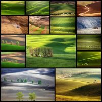 15Hypnotizing-Beauty-Of-Moravian-Fields-In-The-Czech-Republic--Bored-Panda