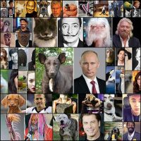 20+-Animals-That-Totally-Look-Like-Celebrities--Bored-Panda