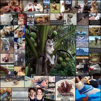 amazing-collection-of-awesome-images-47-pics-izismile