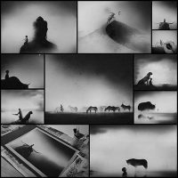 Hazy Black Watercolor Paintings of Children with Animals Colossal