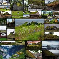 Самая экологичная кровля мох и газоны на крышах домов