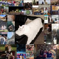 32 Photos Guaranteed To Confuse You For About 3-5 Seconds