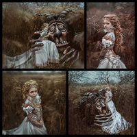 I Created This Monster And Photographed The Tale Of Beauty And The Beast Bored Panda