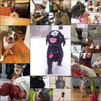 Animals’-First-Reactions-Are-Priceless!-(25-pics)---Izismile